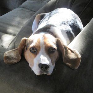 Meet your Posher, Lynn